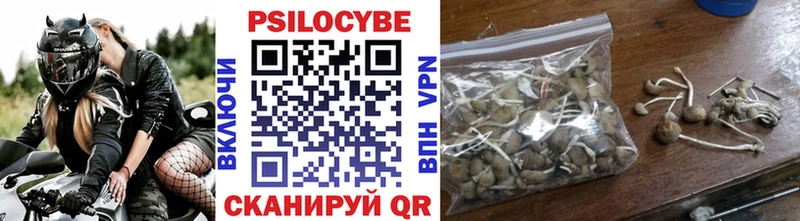 Псилоцибиновые грибы мицелий  Ардон 